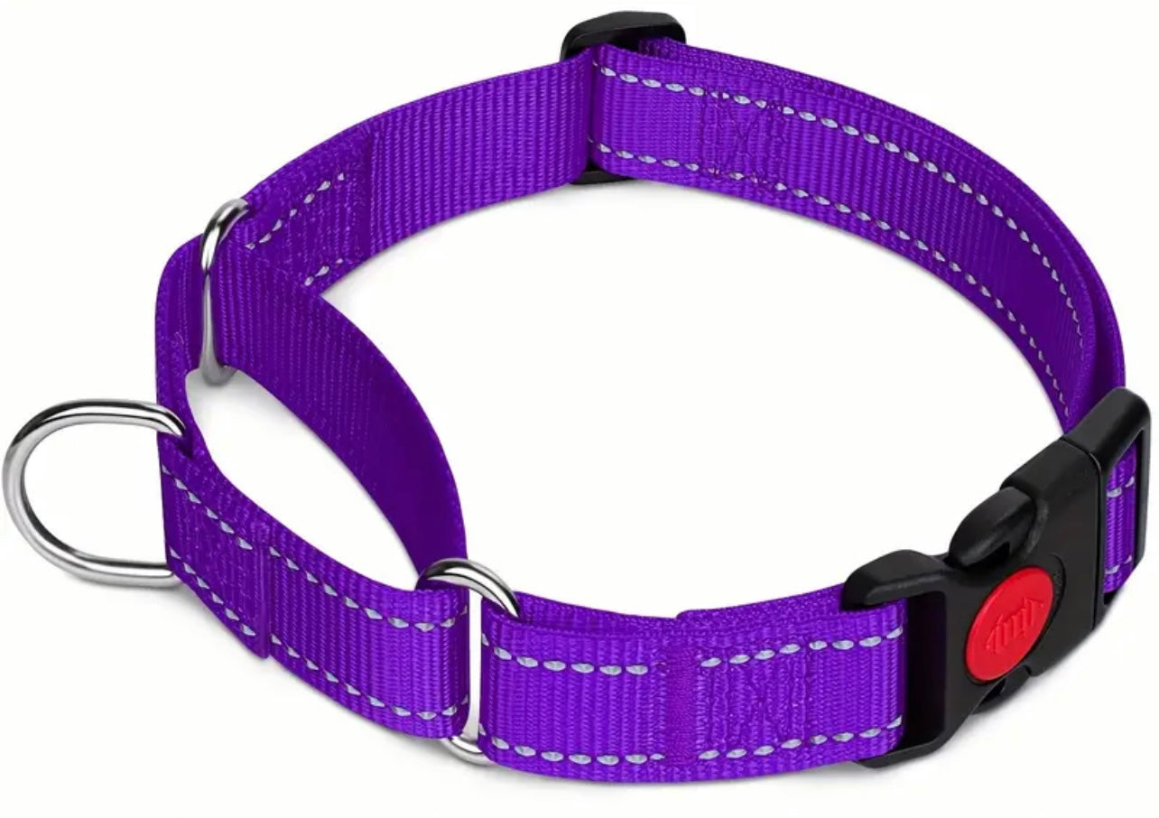 Reflective Collar