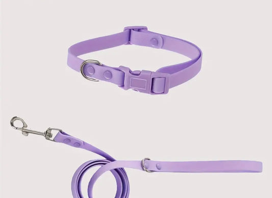 Pvc Leash Set