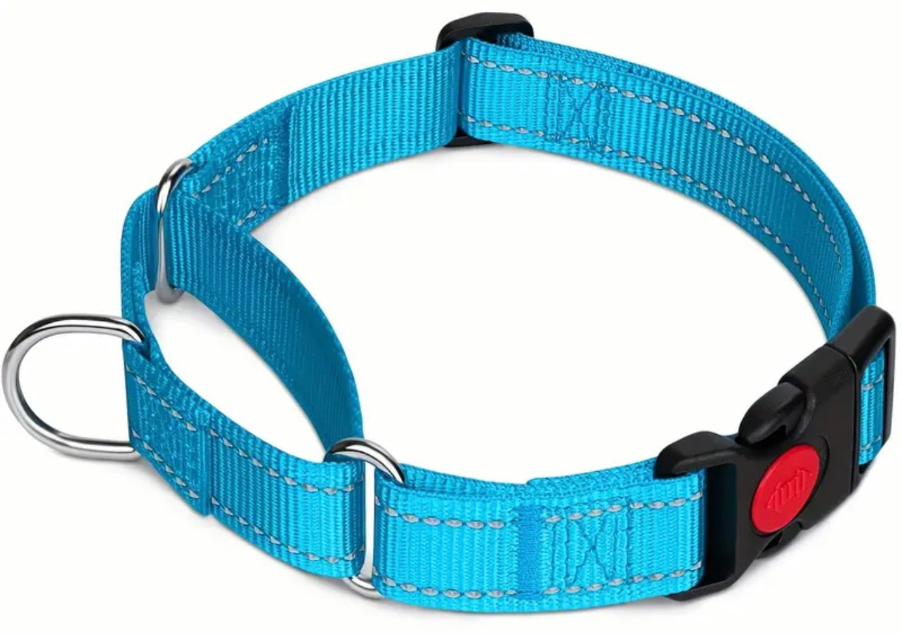 Reflective Collar