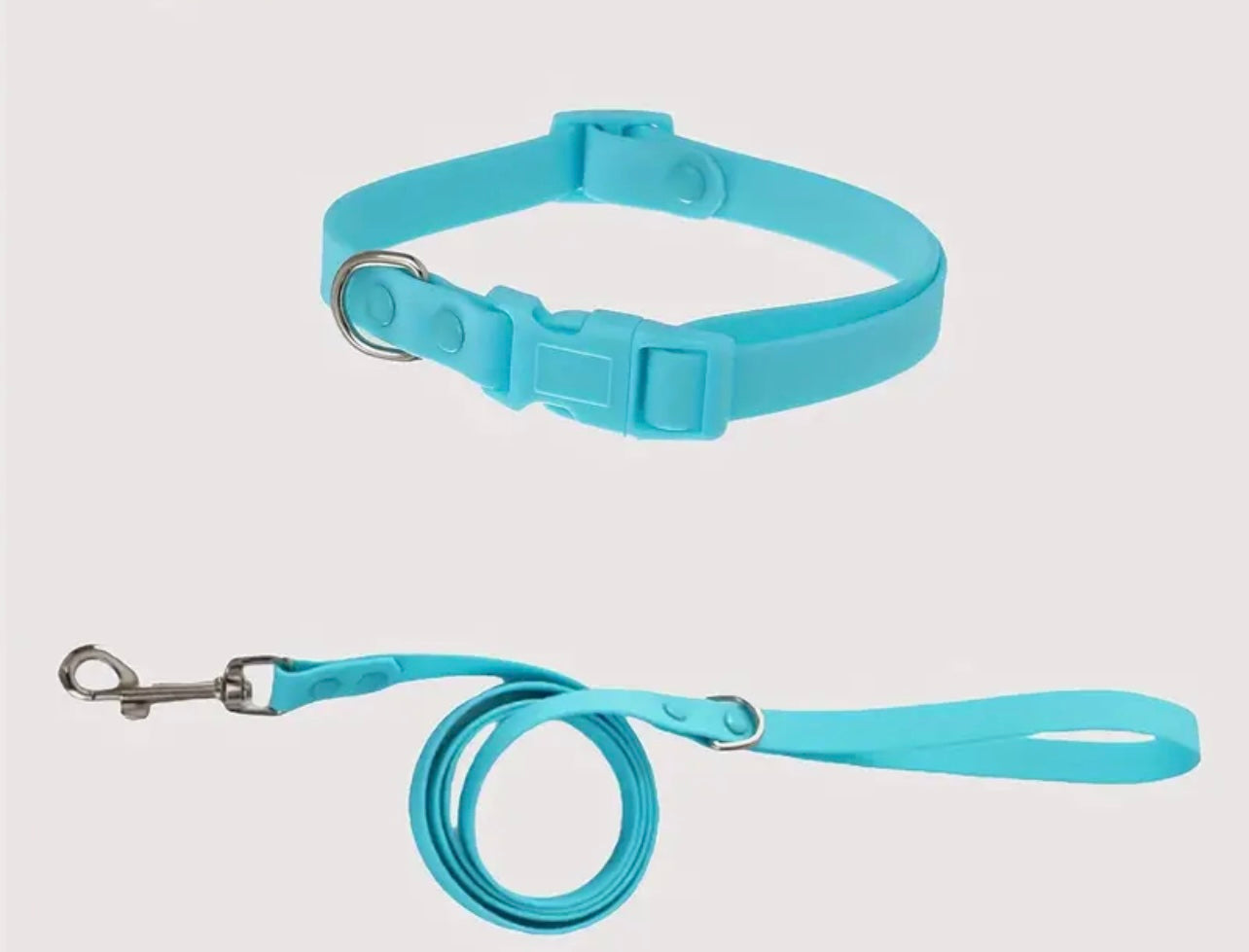 Pvc Leash Set