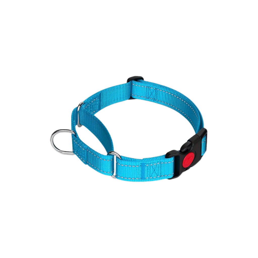 Reflective Collar