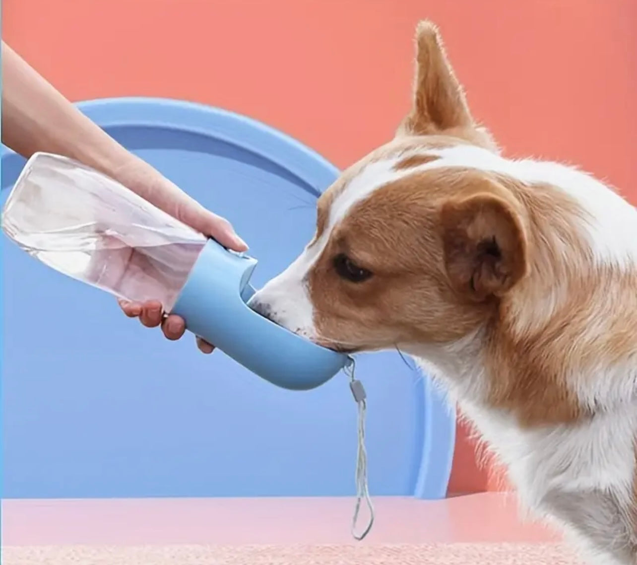 Doggy Bottle